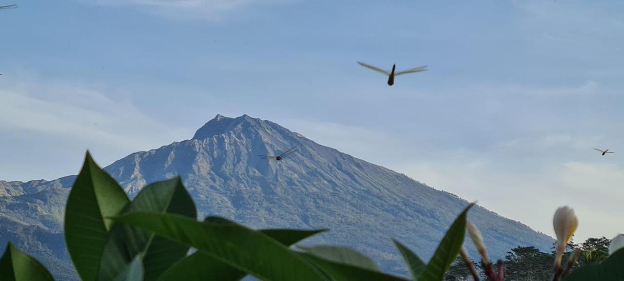 Girang Rinjani Bungalows Tetebatu Ngoại thất bức ảnh